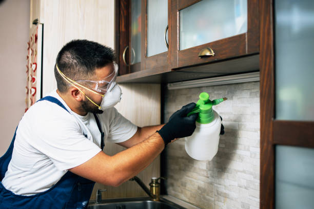 Best Flea Control Services  in Circle Pines, MN