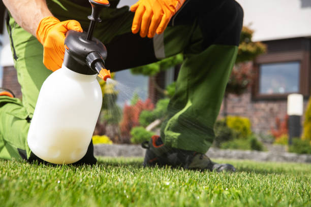 Best Ant Control Services  in Circle Pines, MN