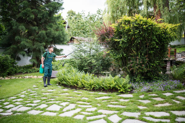 Best Mosquito Control Services  in Circle Pines, MN