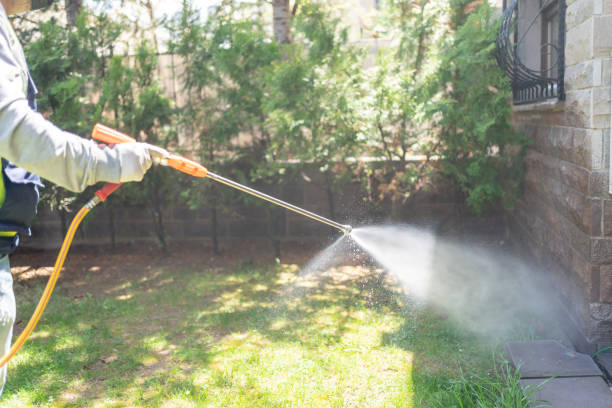 Best Pest Control for Homes  in Circle Pines, MN