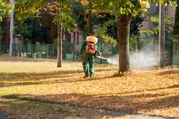 Best Mosquito Control Services  in Circle Pines, MN
