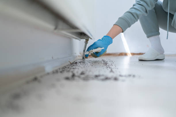 Best Affordable Pest Control Services  in Circle Pines, MN